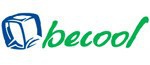 Термометры электронные BECOOL